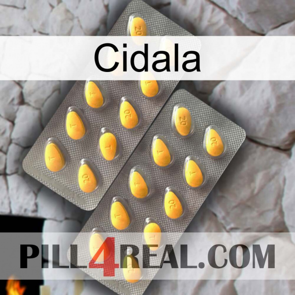 Cidala cialis2